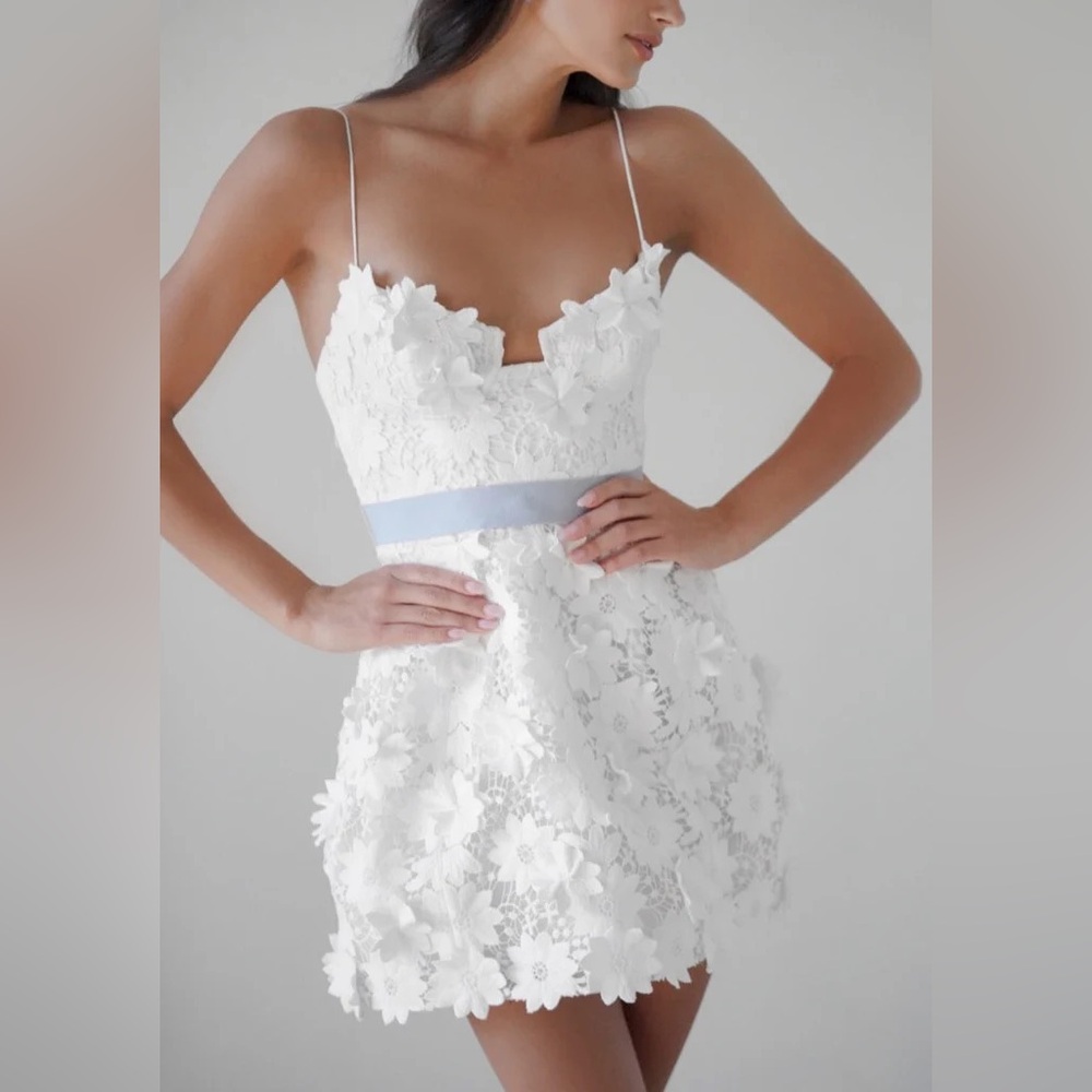 By Watters Violeta Dress size 4
